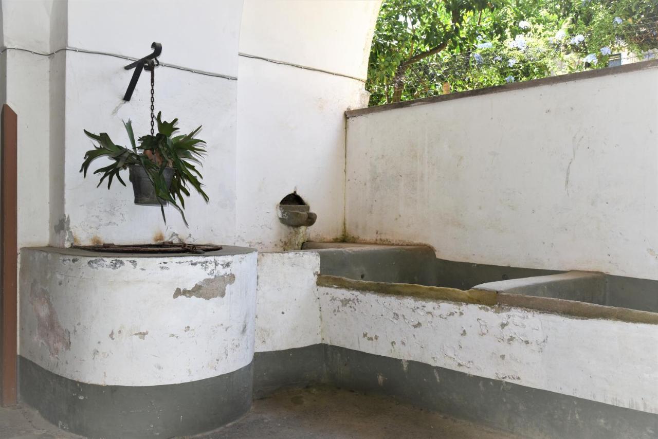 Casa Vacanza "Nonna Matilde" A Meta Di Sorrento, 600Mt Dal Mare, Casa Per 4 エクステリア 写真