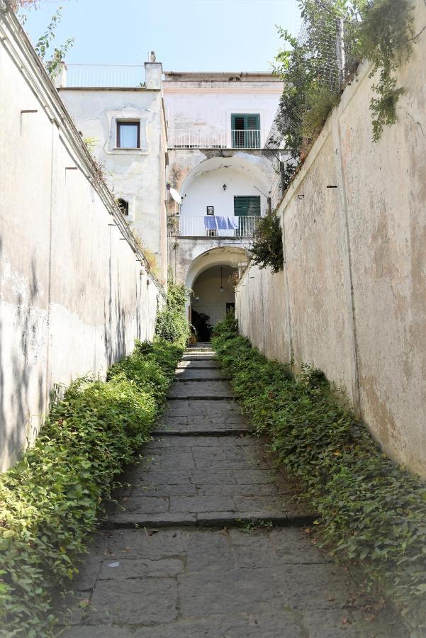 Casa Vacanza "Nonna Matilde" A Meta Di Sorrento, 600Mt Dal Mare, Casa Per 4 エクステリア 写真